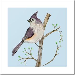 Tufted titmouse watercolor Posters and Art